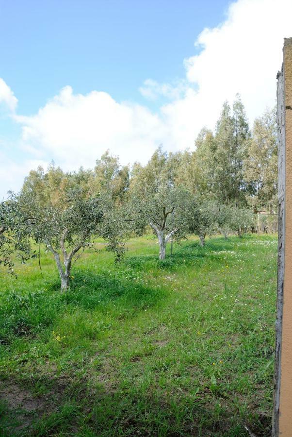 Tra Mare E Monti Lägenhet Santa Giusta Exteriör bild
