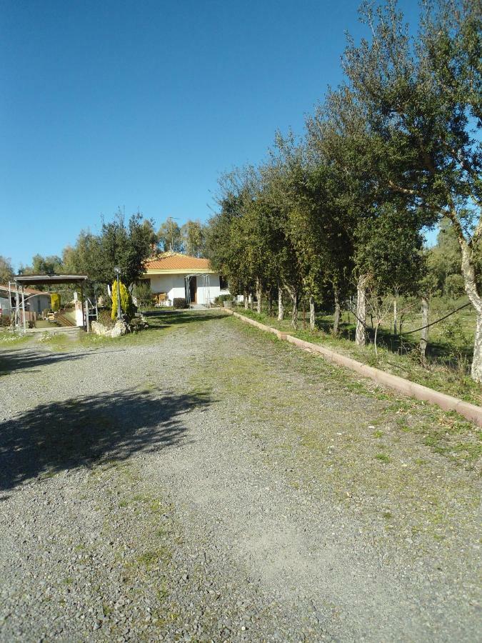 Tra Mare E Monti Lägenhet Santa Giusta Exteriör bild